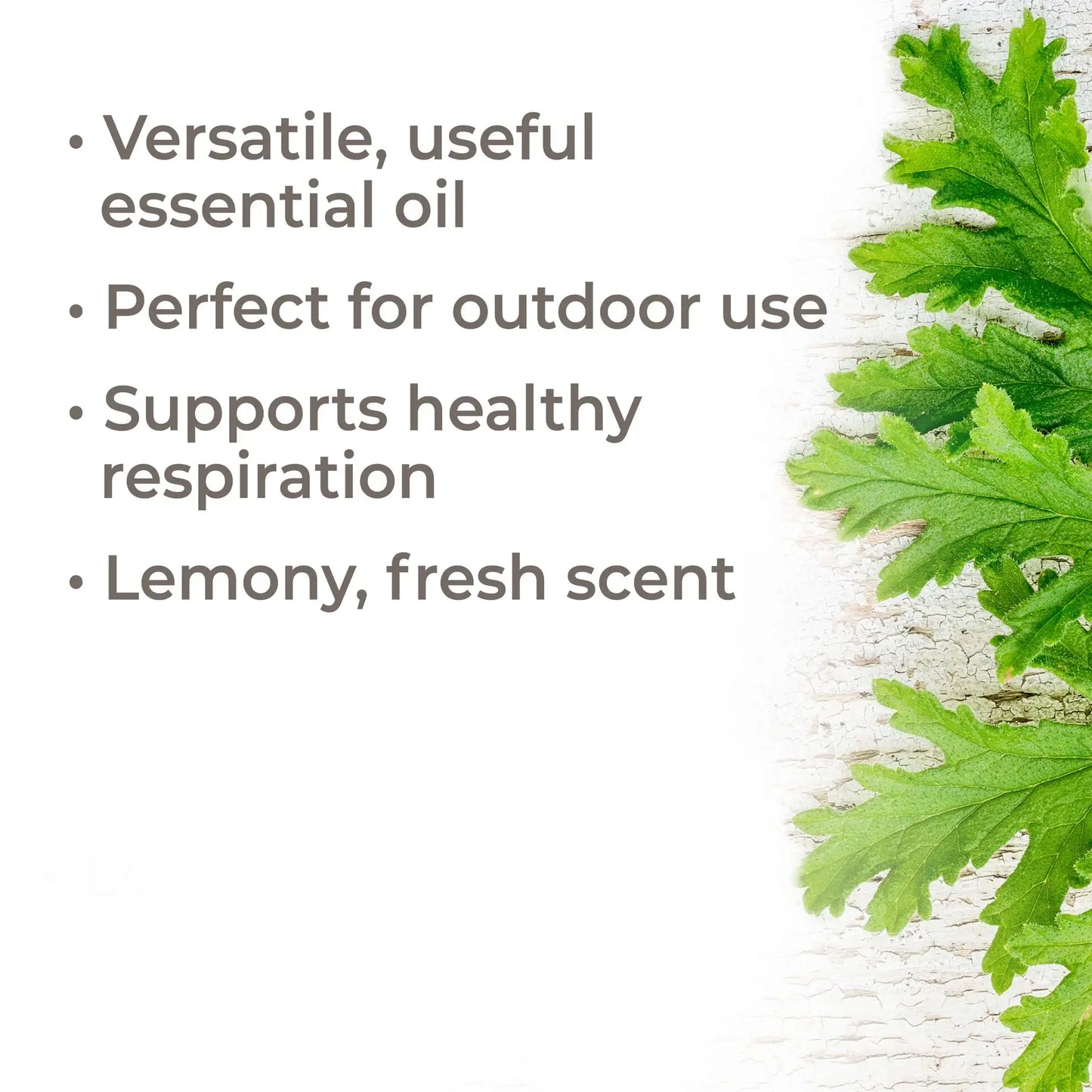Plant Therapy - Organic Citronella Essential Oil 10 mL