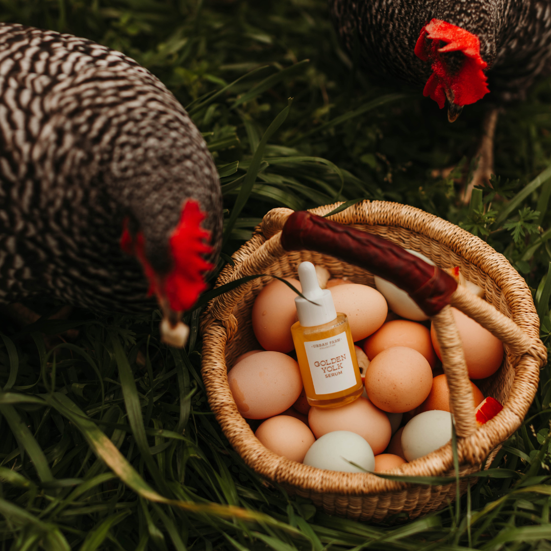Golden Yolk Serum