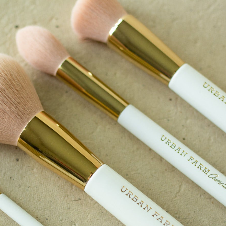 Highlighter Brush