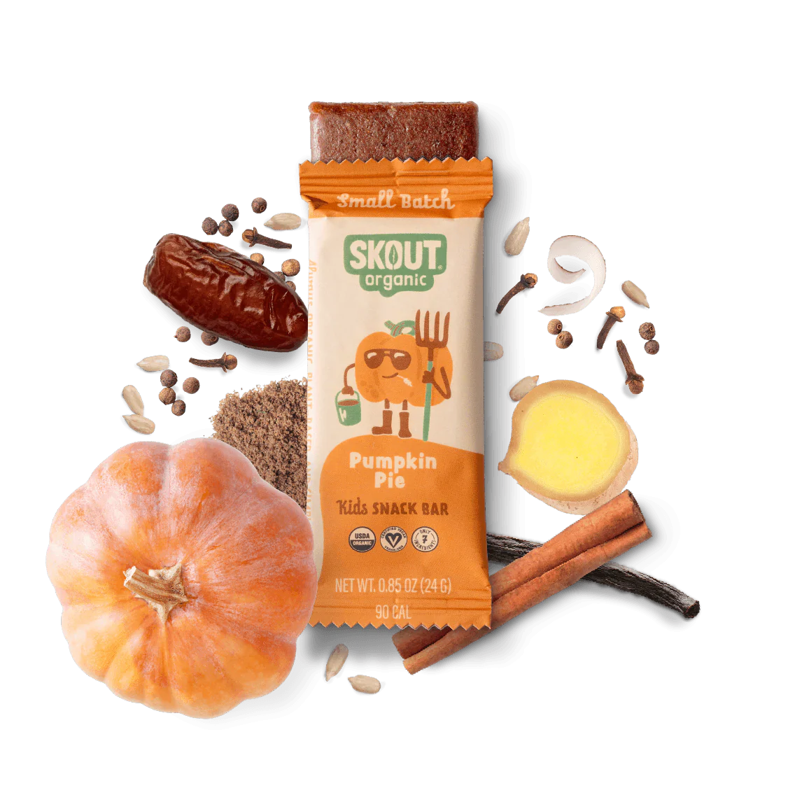 Skout Organic Kids Snack Bars