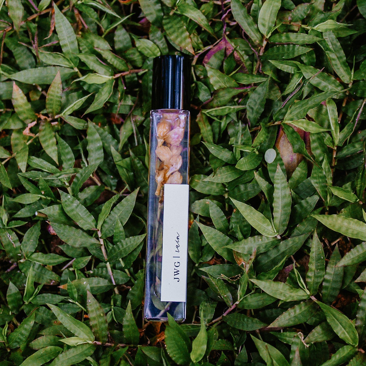 Jess Wandering Goods Rain Perfume Roller