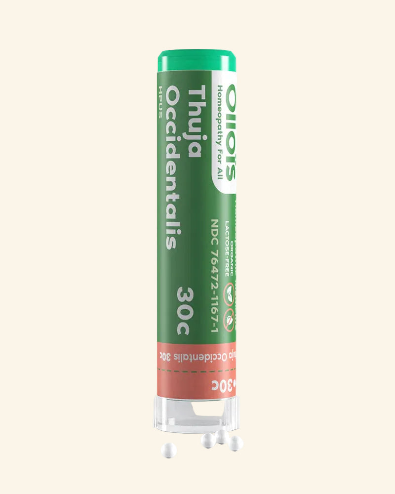 Ollois Homeopathic Thuja Occidentalis Pellets