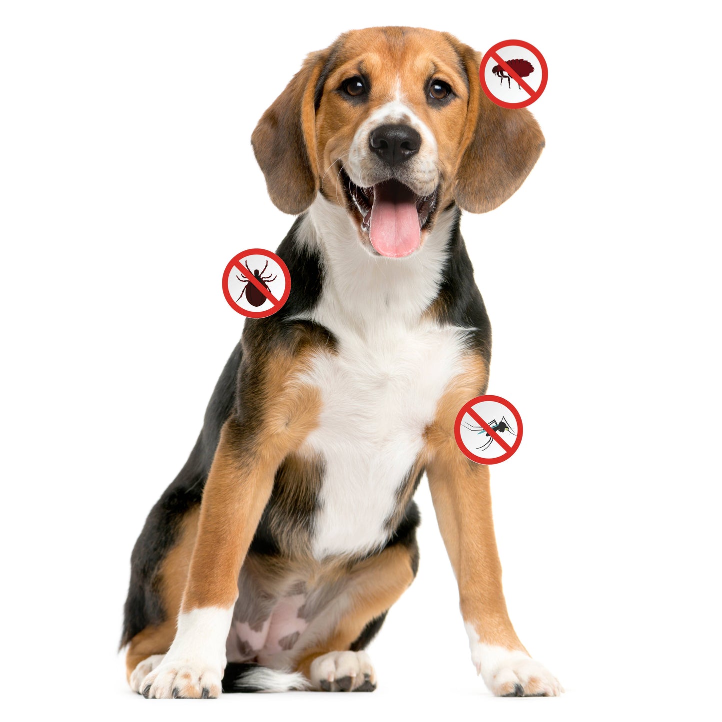 Pure and Natural Pet - Flea & Tick Canine Spray REFILL