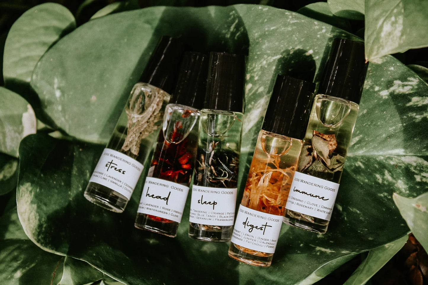 Jess Wandering Goods Everyday Roller Bundle