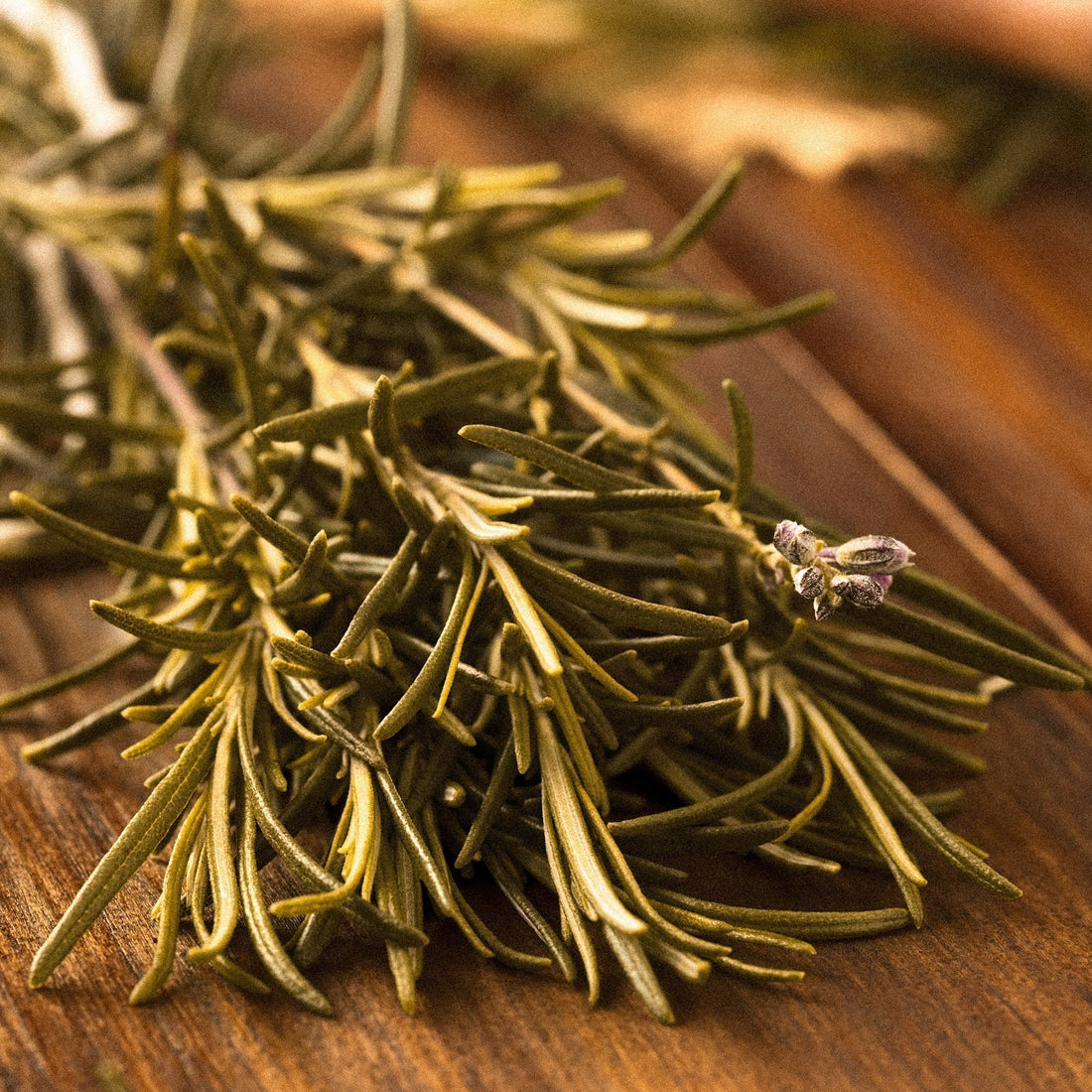 Rosemary: Regenerative, Purifying Herbal Haircare