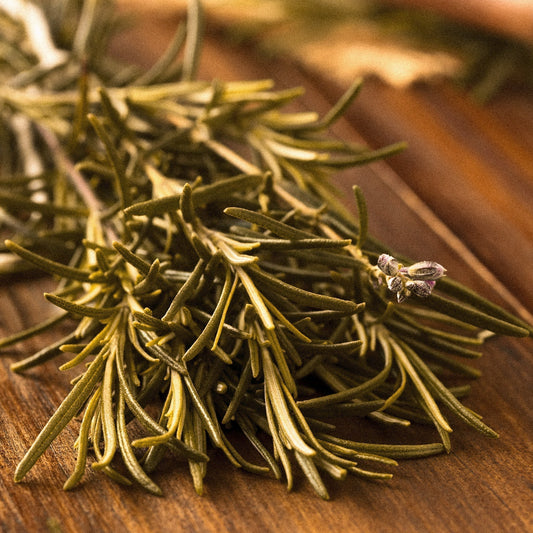 Rosemary: Regenerative, Purifying Herbal Haircare