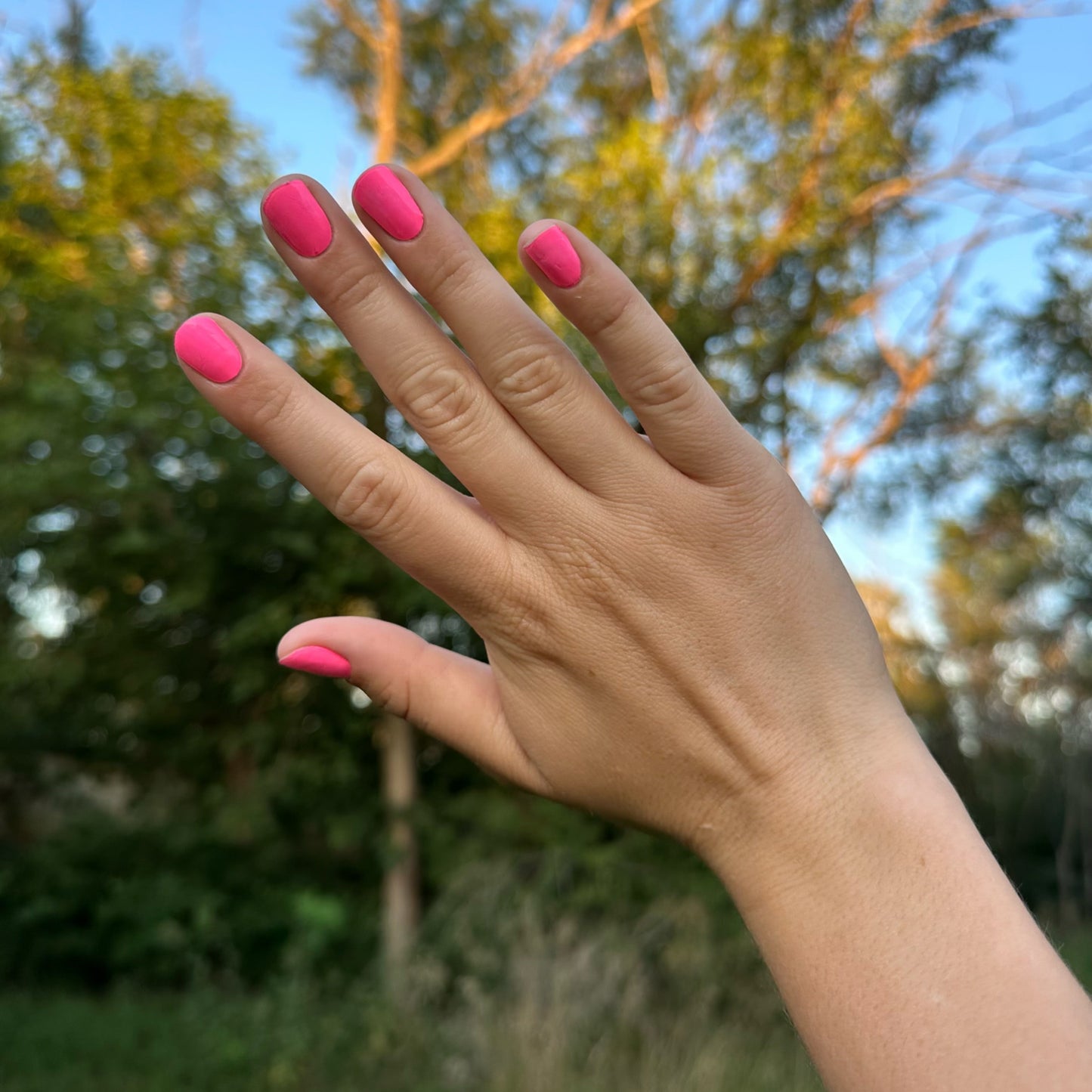 Cactus Blossom | Gel Nail Wraps
