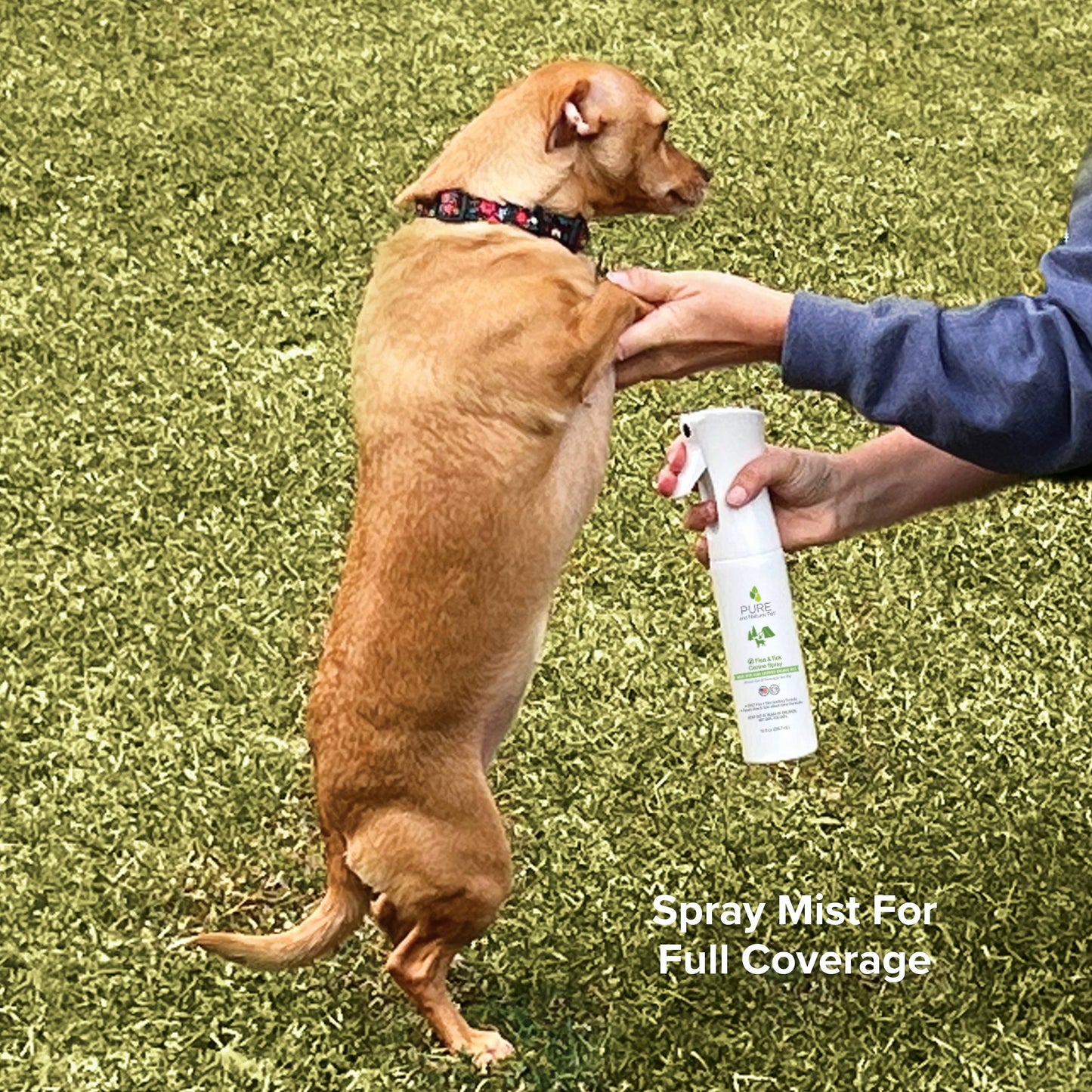Pure and Natural Pet - Flea and Tick Spray for Dogs