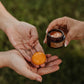 Golden Yolk Vitamin C Balm