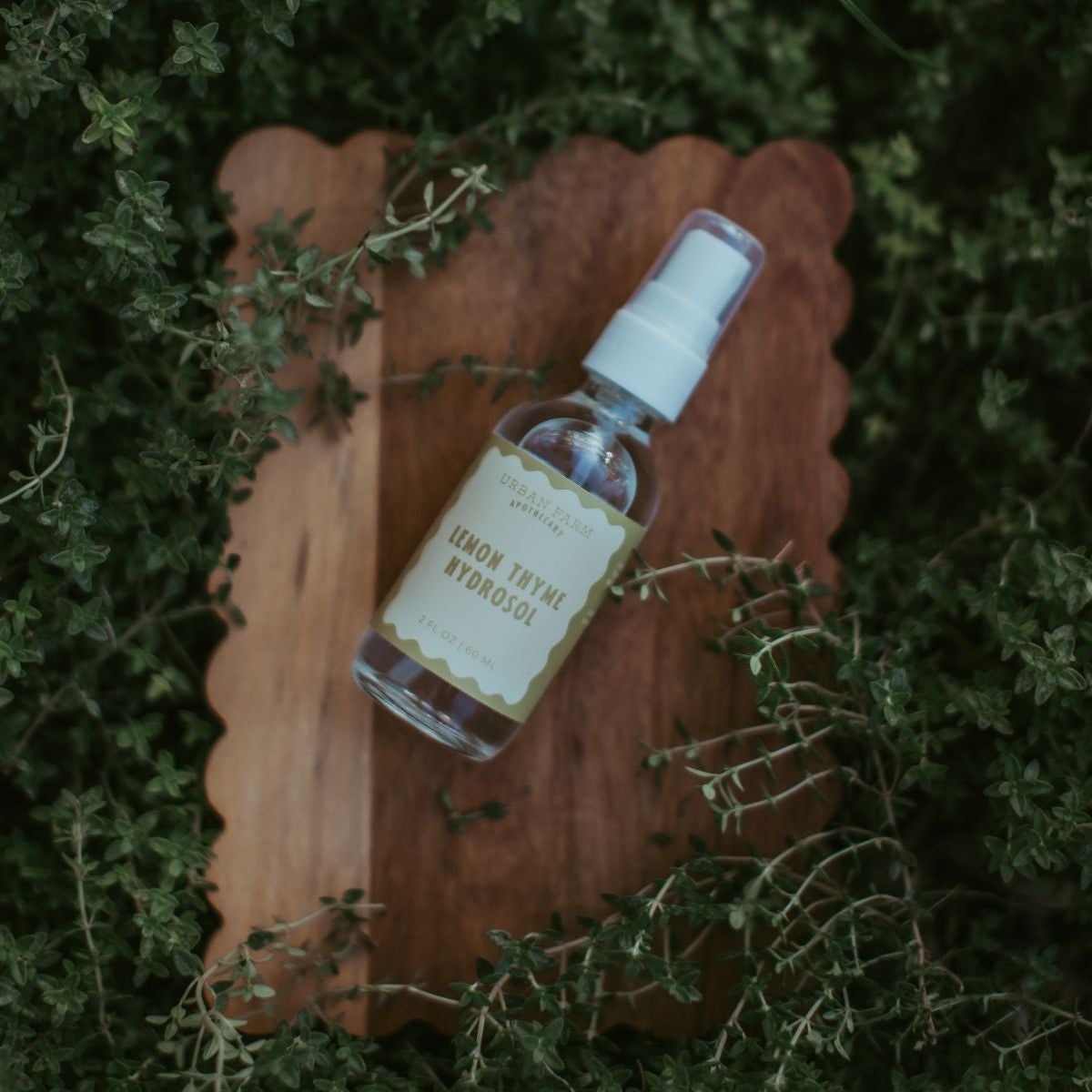 Lemon Thyme Hydrosol