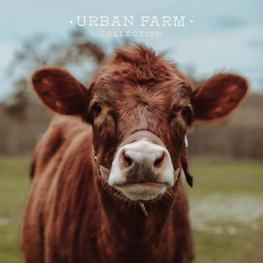 Urban Farm Collection Magnet