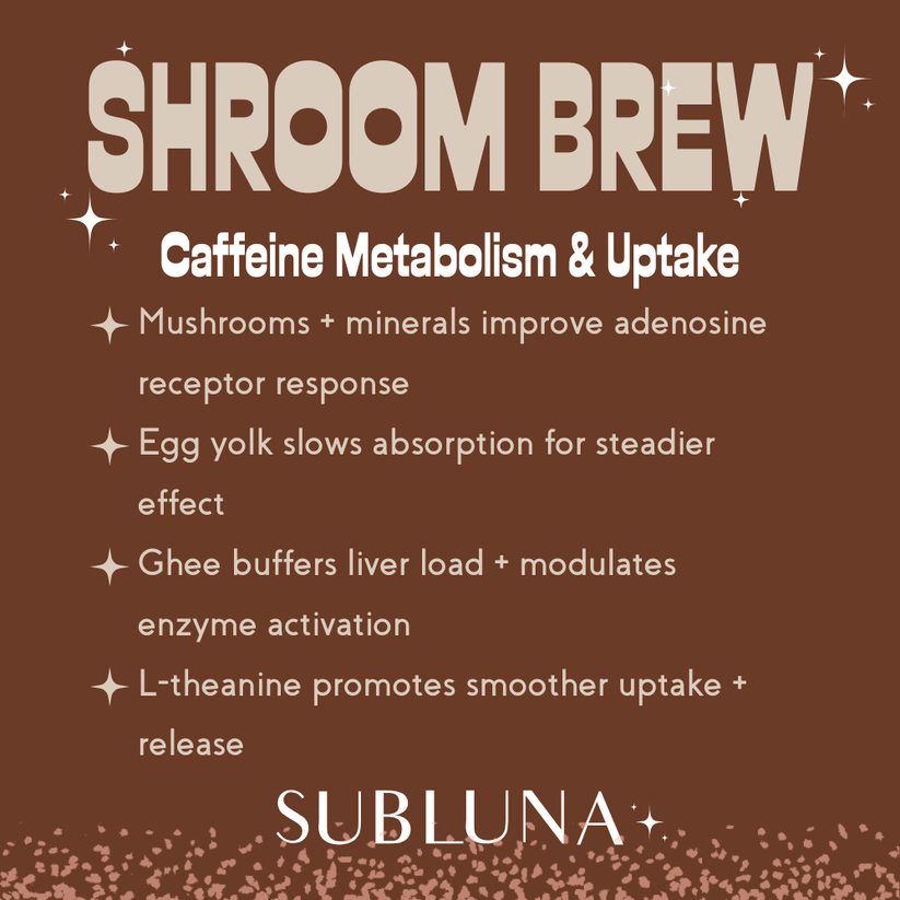 SubLuna | Shroom Brew Mushroom Coffee