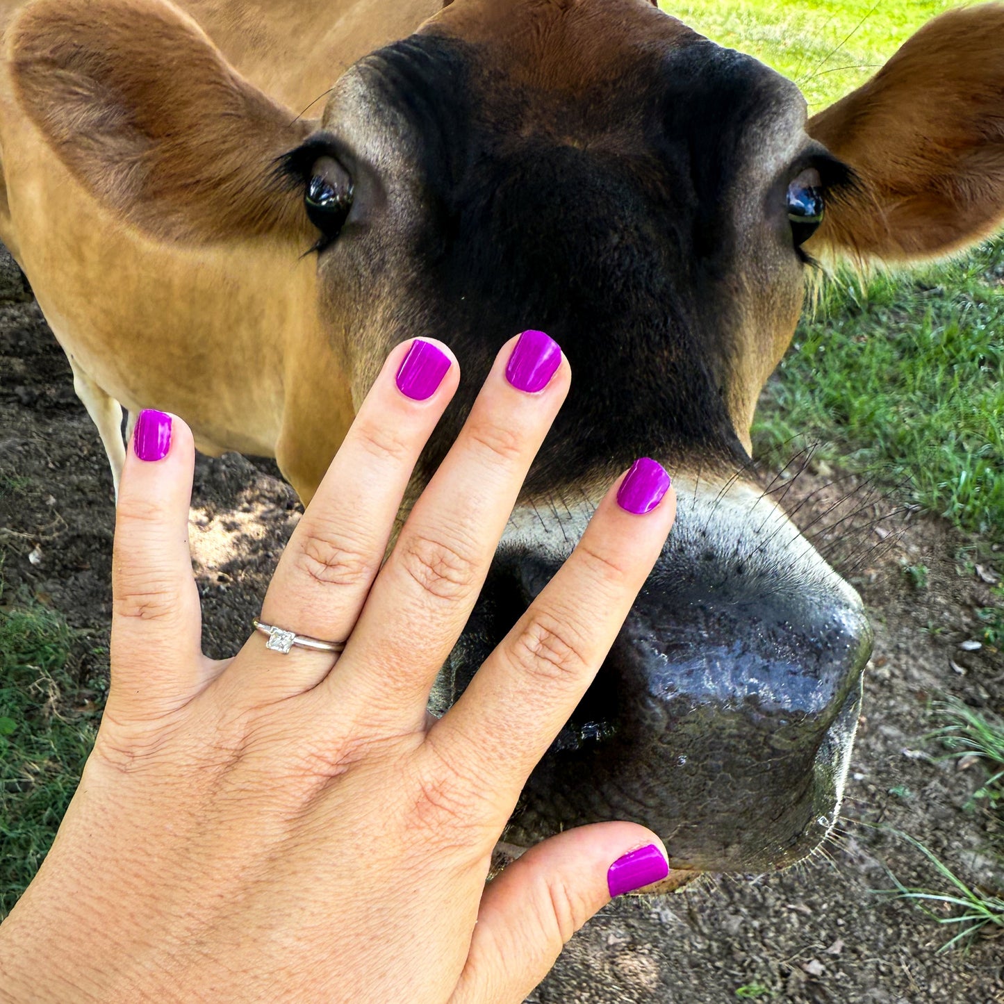 Boysenberry | Gel Nail Wraps