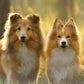 Pure and Natural Pet - Flea & Tick Canine Spray REFILL