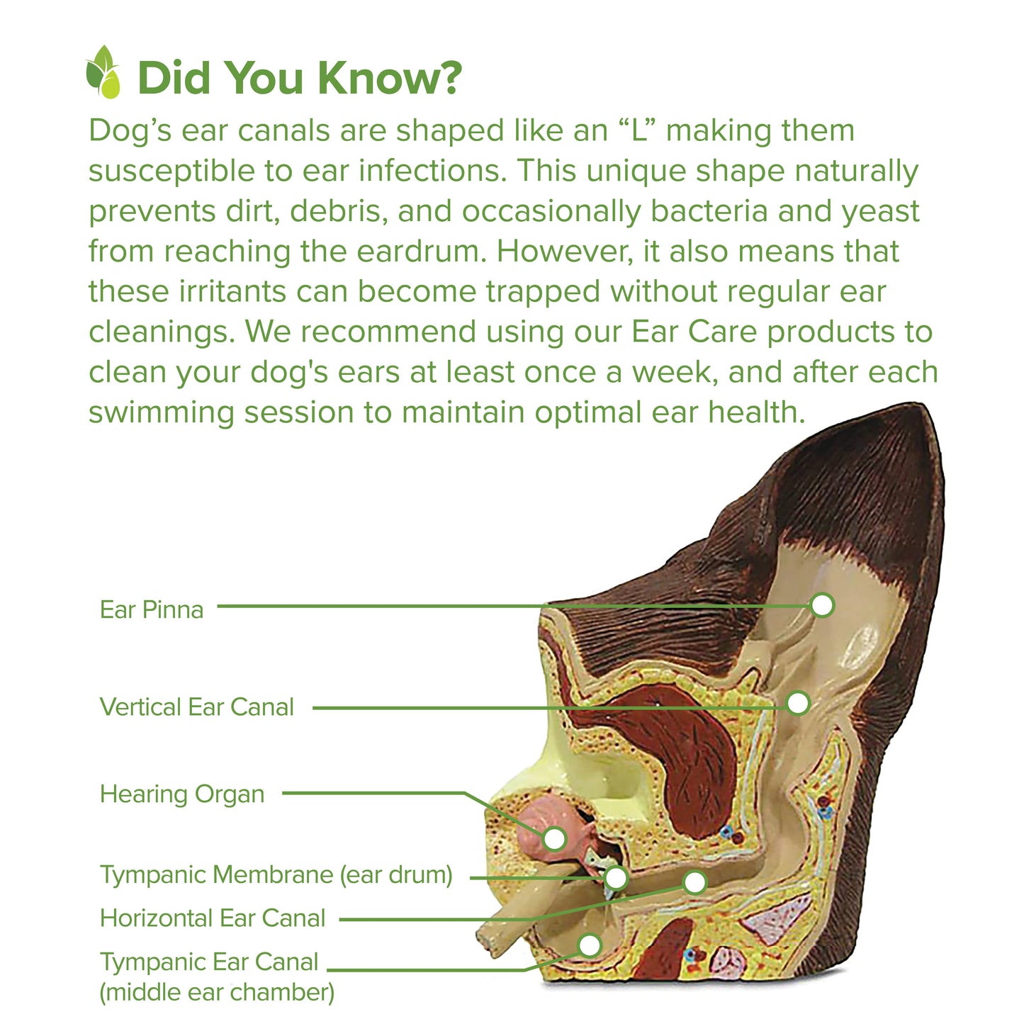 Pure and Natural Pet - Ear Wash for Dogs