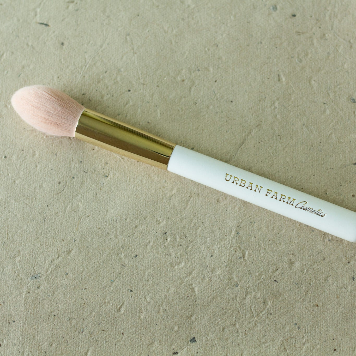 Highlighter Brush