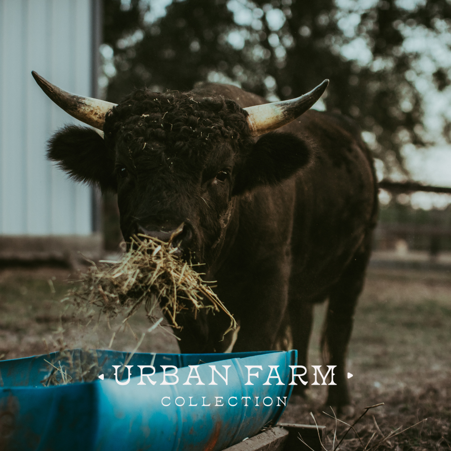 Urban Farm Collection Magnet