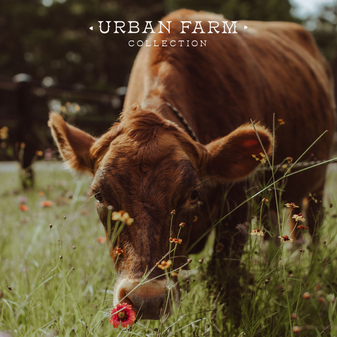 Urban Farm Collection Magnet