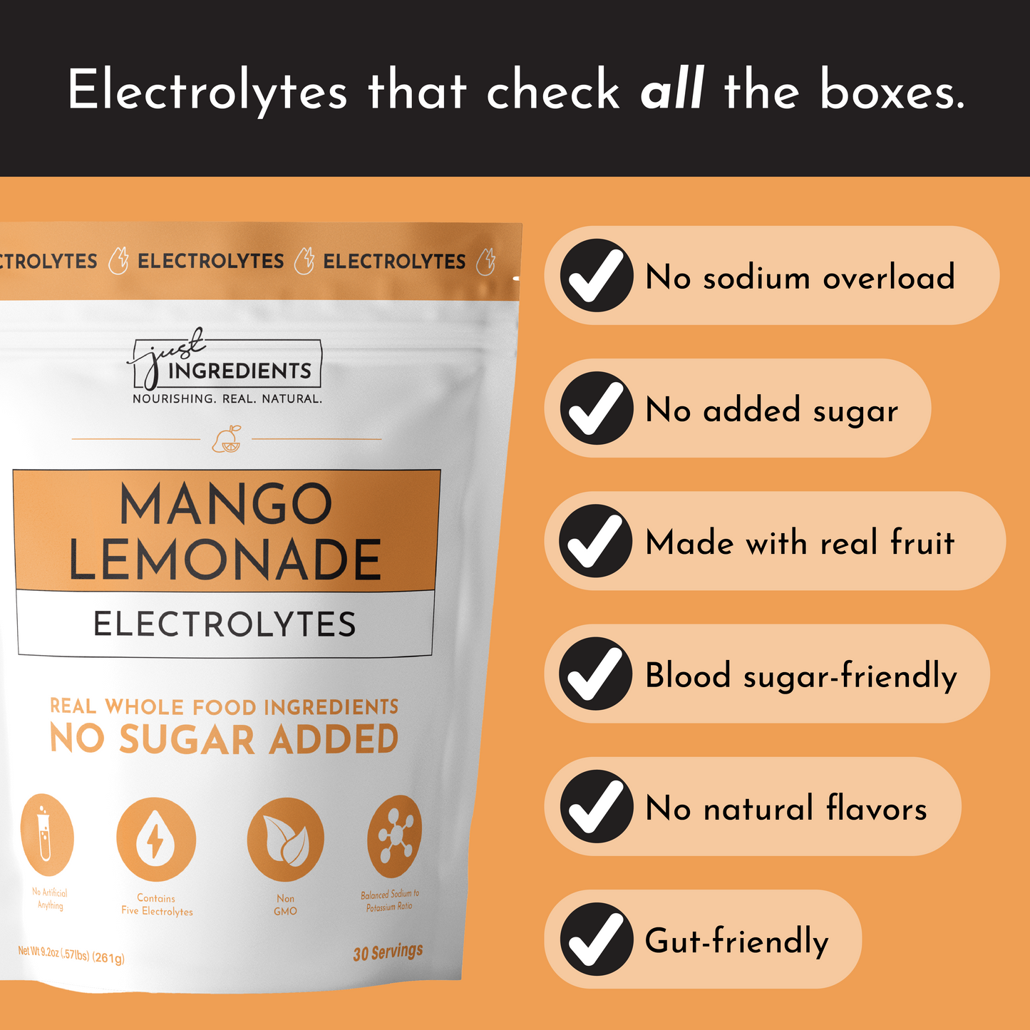 Just Ingredients | Mango Lemonade Electrolytes
