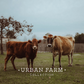 Urban Farm Collection Magnet