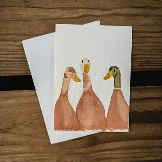 Three Ducks Blank Greeting Card