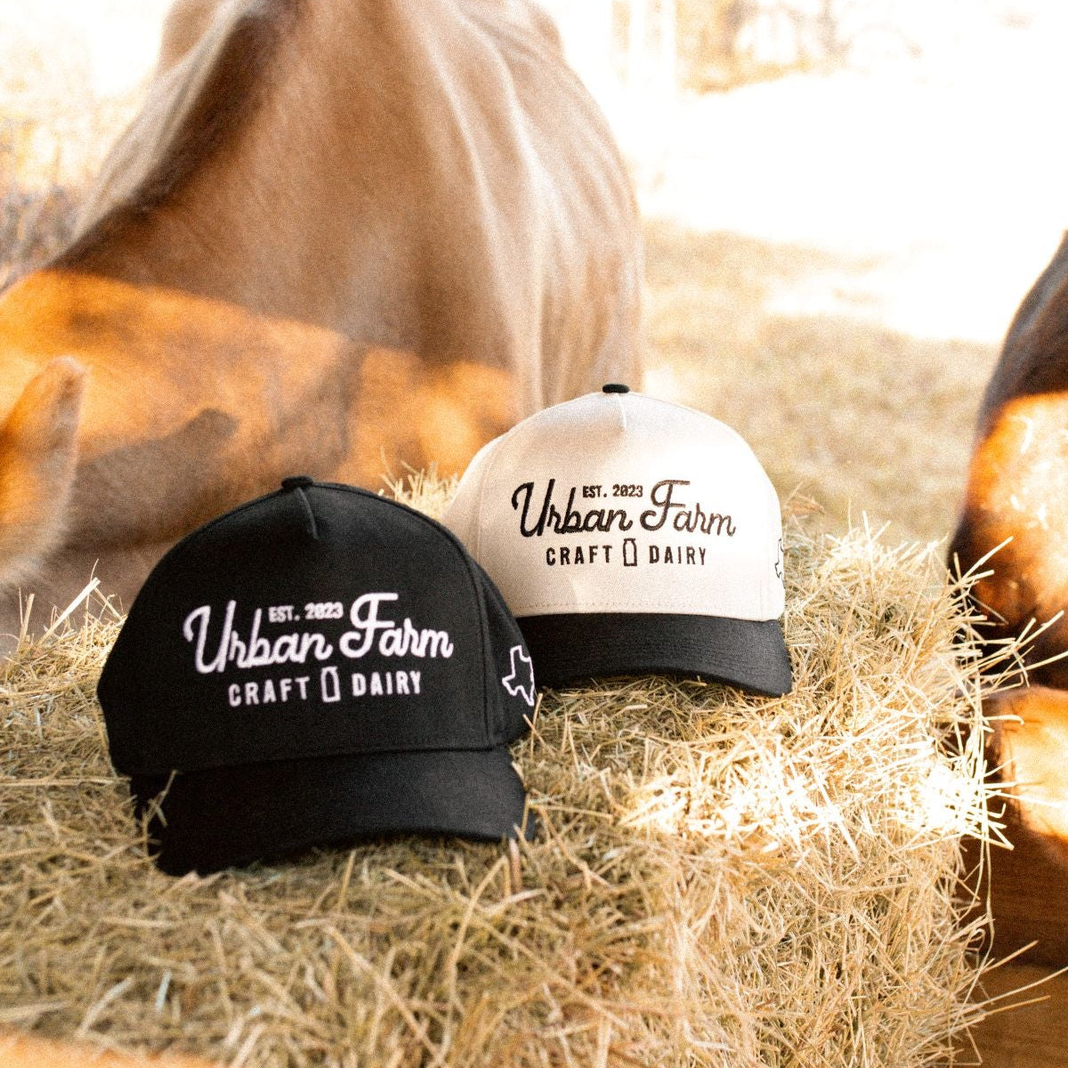 Urban Farm Craft Dairy Hat – urban farm collection