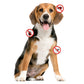 Pure and Natural Pet - Flea & Tick Canine Spray REFILL