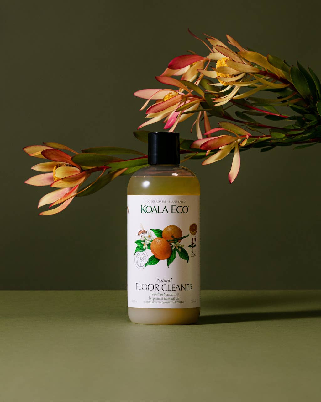 Koala Eco | Mandarin & Peppermint Floor Cleaner
