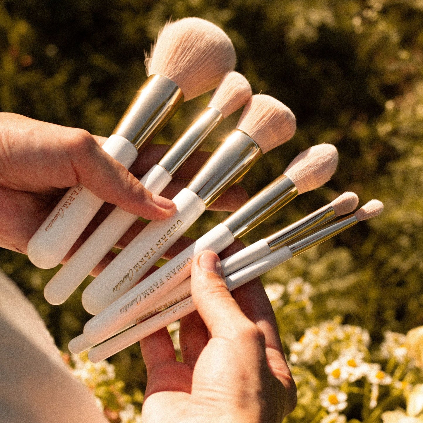 Makeup Brushes - Complete Set