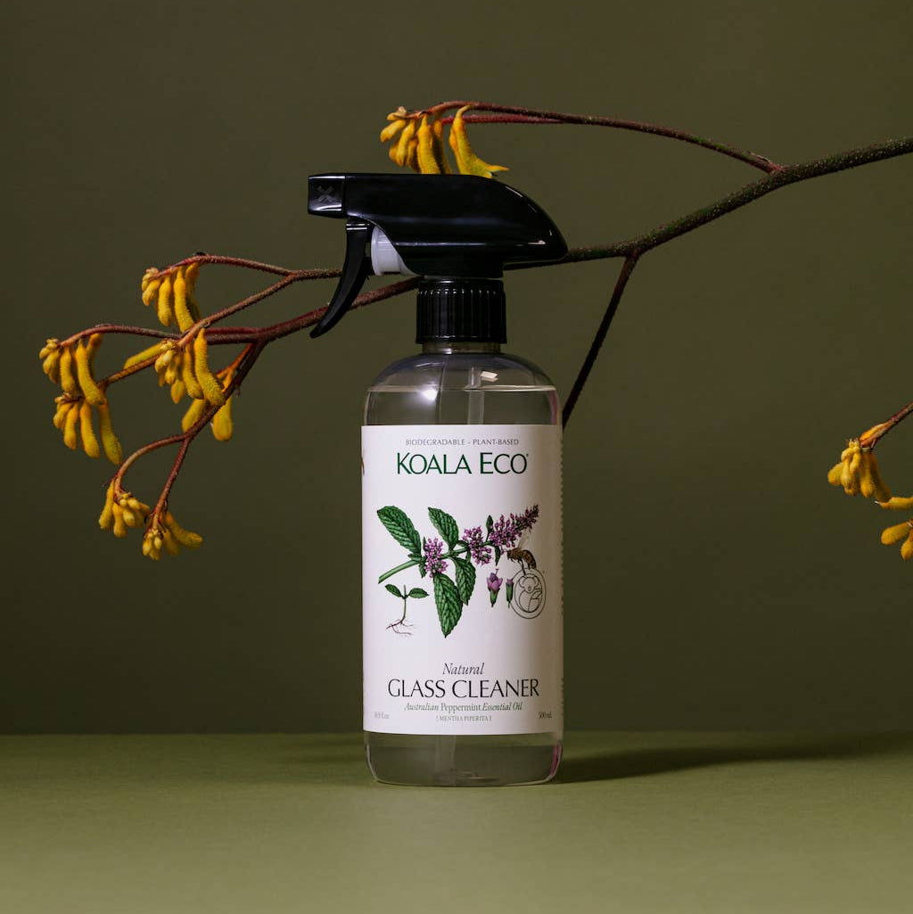 Koala Eco | Peppermint Glass Cleaner