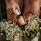 Hillbilly Hippie Body Oil