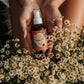 Hillbilly Hippie Body Oil